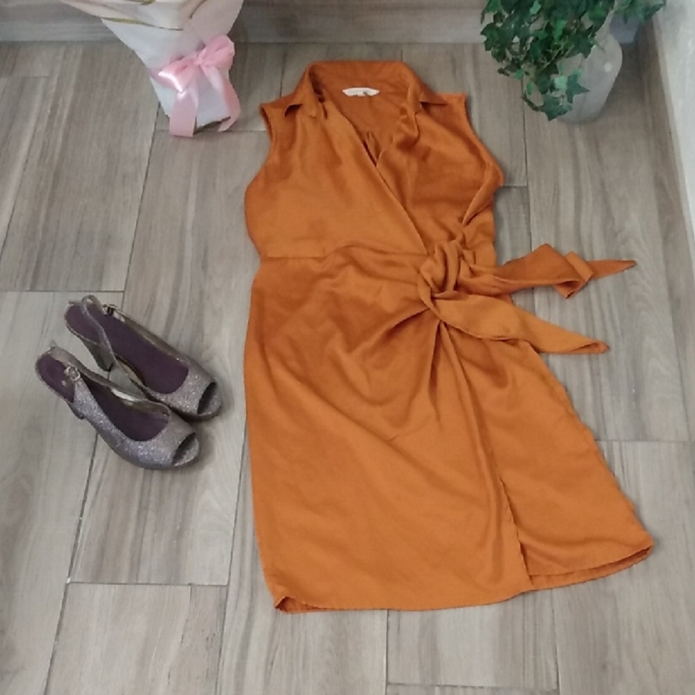 Beyond Words Satiny Dress